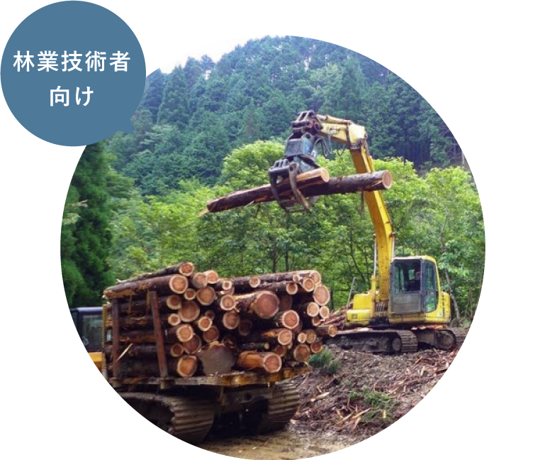 forestry