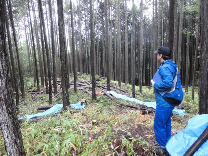 白川町にある作業現場を見せてもらいました。間伐して木材を搬出している途中です。ポータブルのウィンチで搬出しているとのことです。