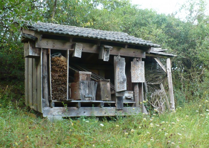 いろんな昆虫の住処（すみか）作り〜ハチの家をつくろう！〜 : 岐阜 