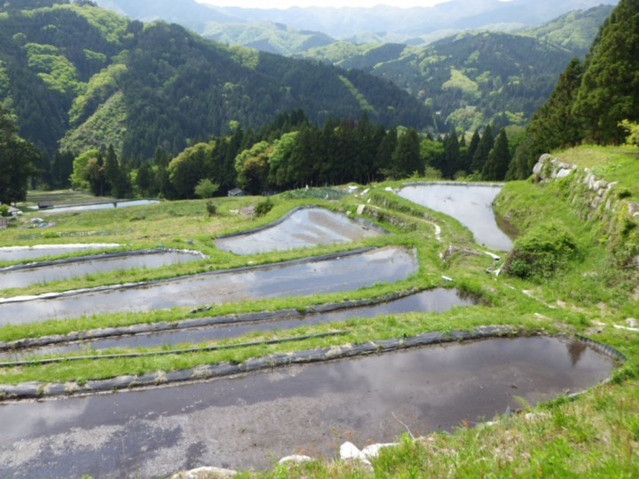 2014-05-08貝原棚田代掻き畔塗り (36)