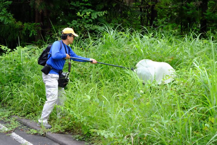 160804昆虫・魚類同定実習1