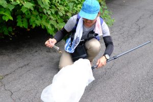 160804昆虫・魚類同定実習2