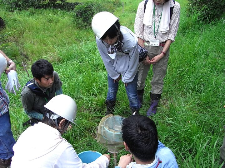 160828生物調査風景