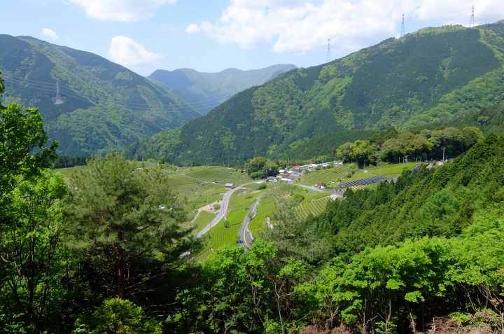 茶畑を中心とした春日の里山景観