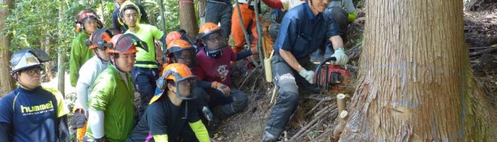 立木のまま乾燥させる　梶本式立木乾燥法実践