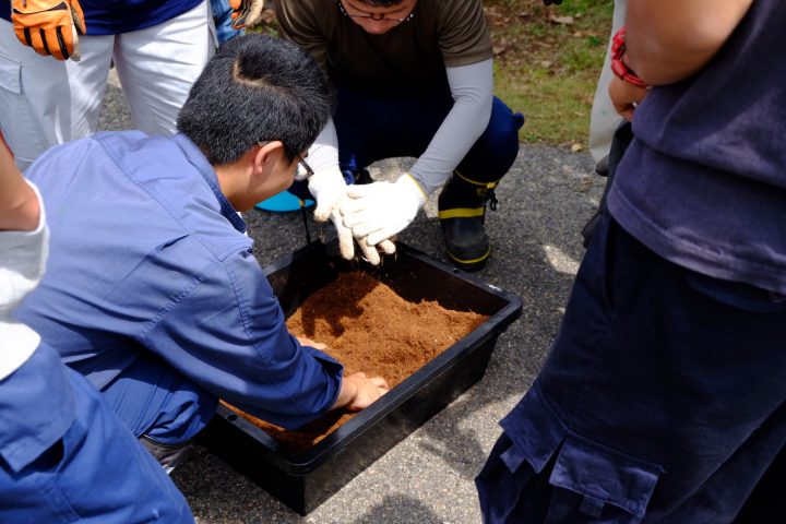 コンテナ苗の用土調整