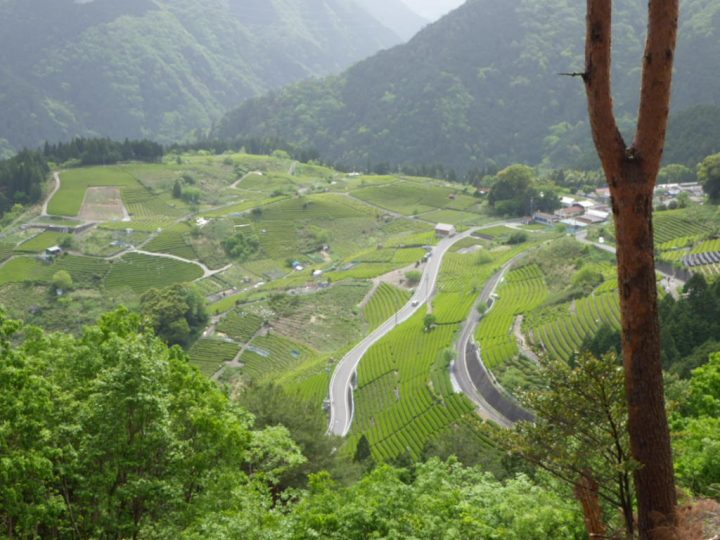 里山の風景