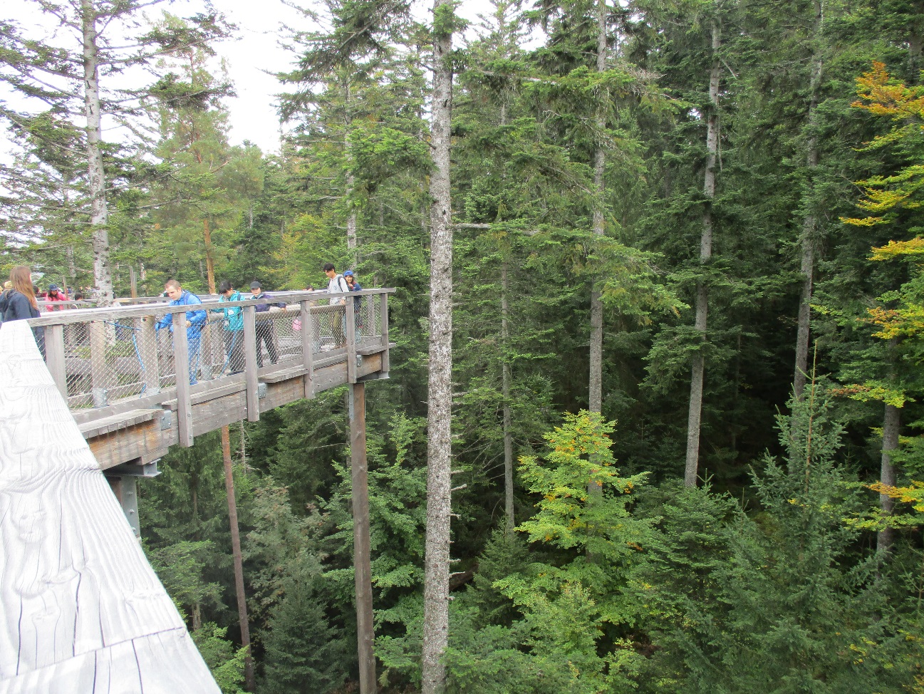 ロッテンブルク大学サマースクール17報告 その3 岐阜県立森林文化アカデミー