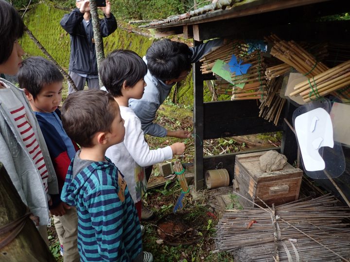 小屋に設置した竹筒を観察