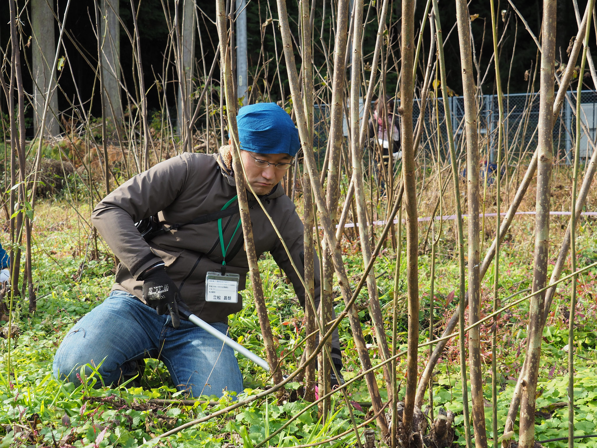 こうぞマニアックス〜世界遺産の原材料をもっとよく知る〜 : 岐阜県立
