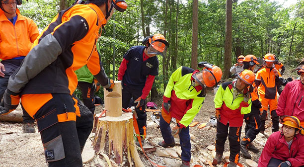 少人数教育の豊富な実習