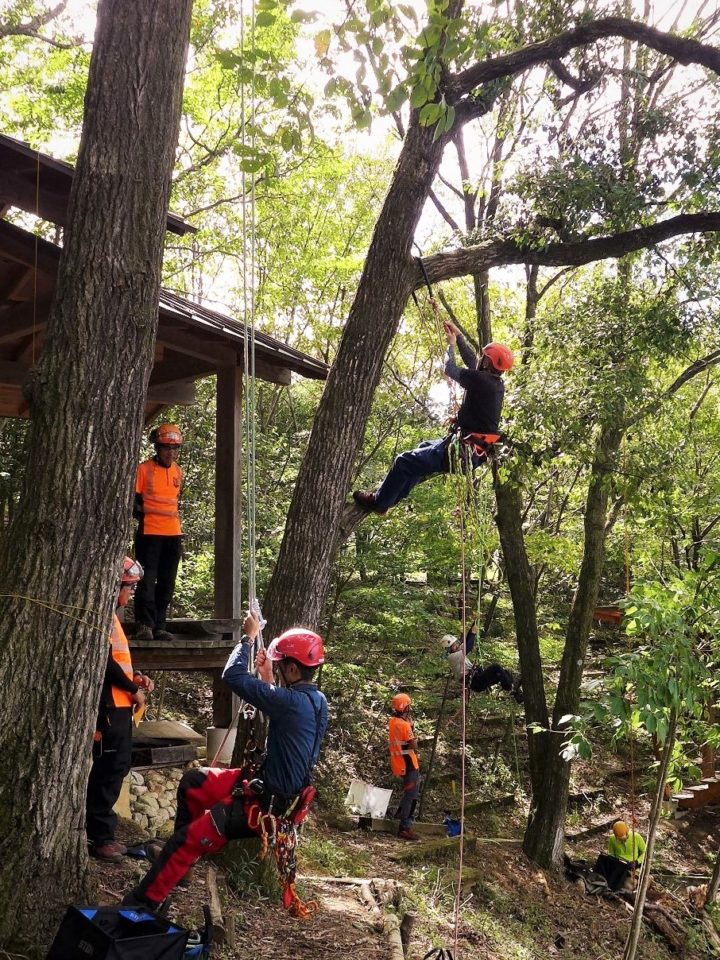 Basic Arborist Training 3 A(BAT-3A)樹上作業のための専門技術者研修 : 岐阜県立森林文化アカデミー Basic Arborist Training 3 A(BAT-3A)樹上作業のための専門技術者研修 : 岐阜県立森林文化アカデミー