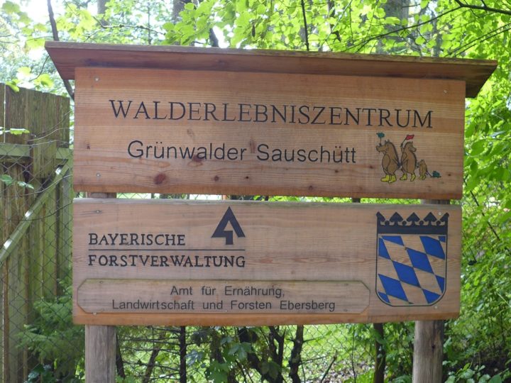 ドイツ報告 5 Munchen Grunwaldの森林体験センター Walderlebniszentrum を行く 岐阜県立森林文化アカデミー ドイツ報告 5 Munchen Grunwaldの森林体験センター Walderlebniszentrum を行く 岐阜県立森林文化アカデミー
