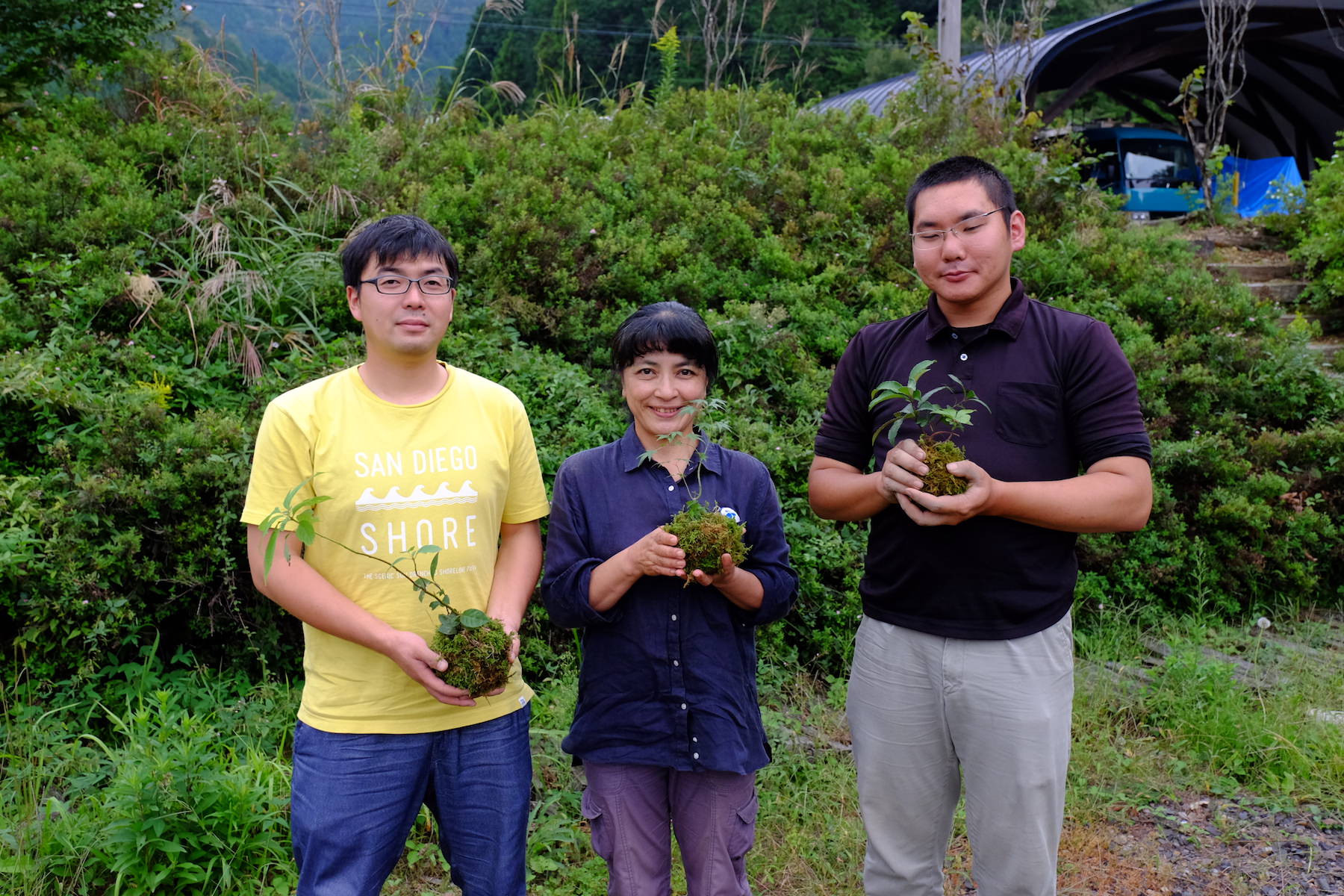 身近な材料で簡単にできる苔玉づくり 岐阜県立森林文化アカデミー