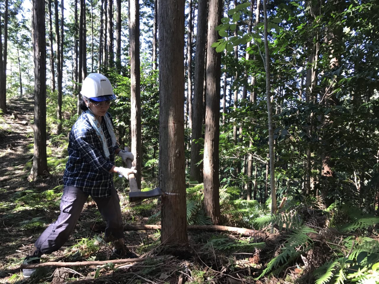 手で感じる感触 岐阜県立森林文化アカデミー