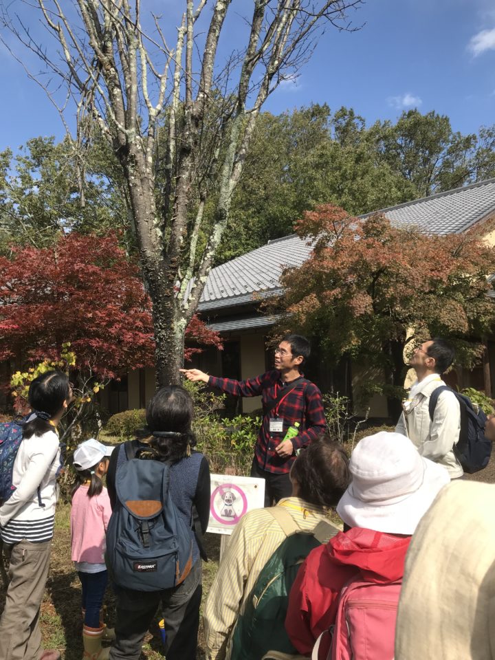 きのこの観察シーン