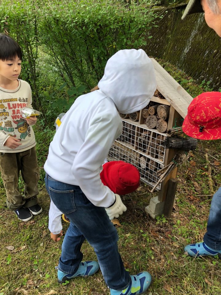 Insekten hotelの観察