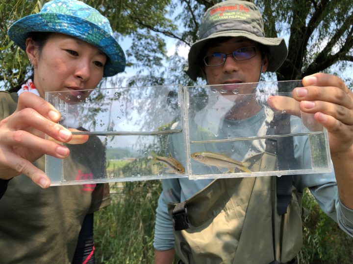 魚の観察