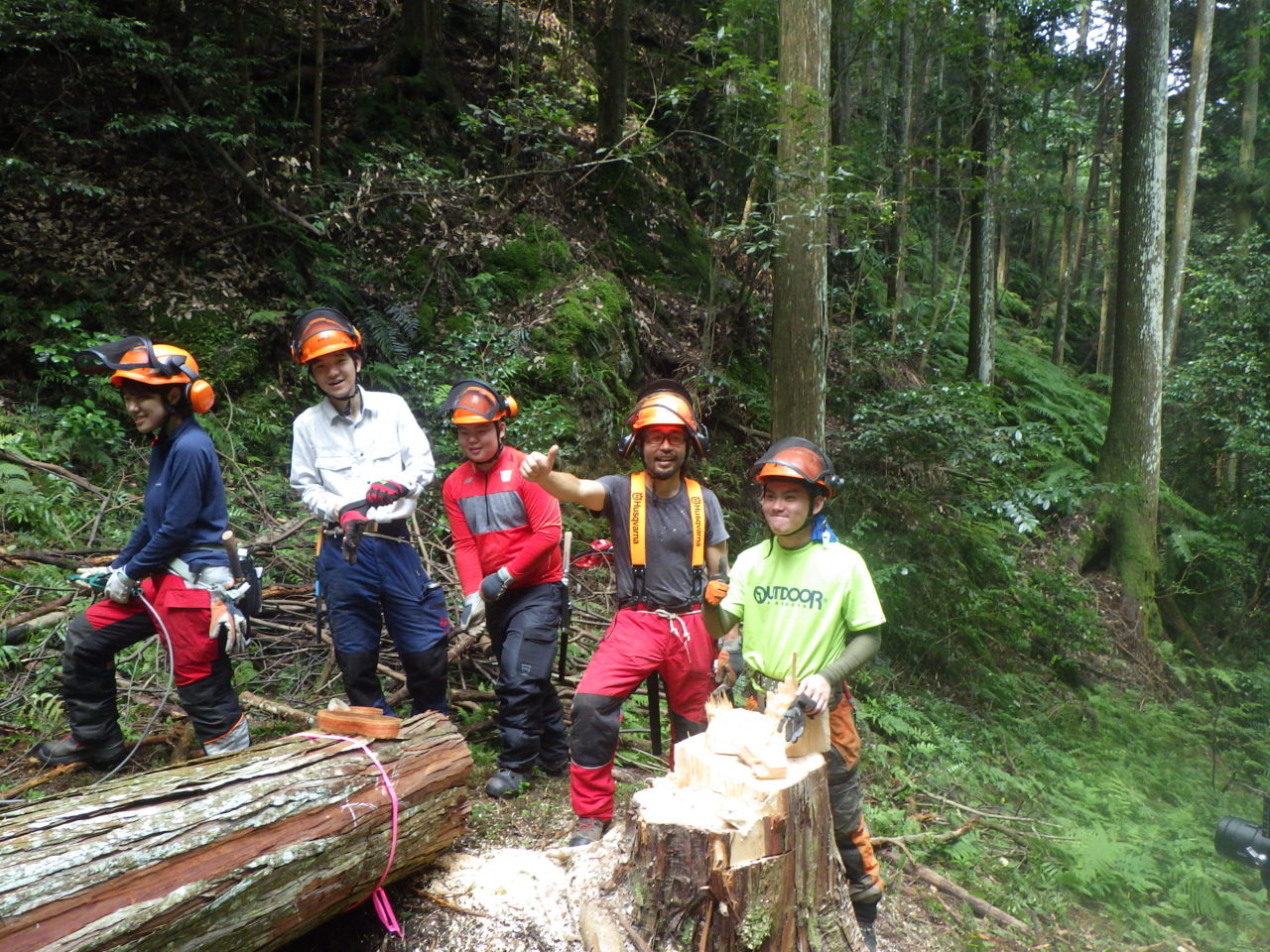 雑木林 伐倒予告