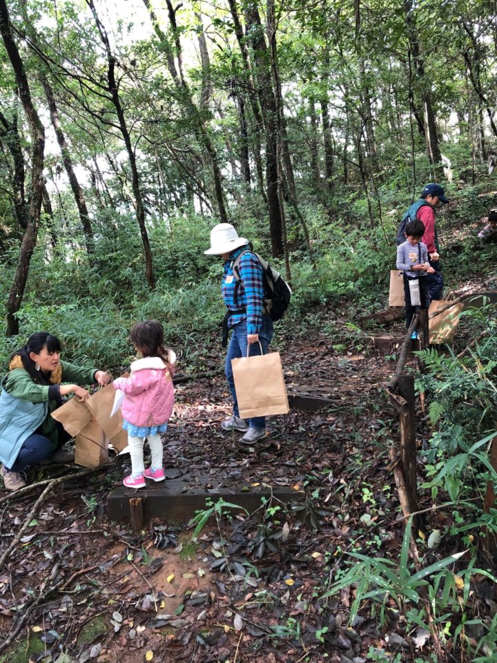 きのこの採集風景２