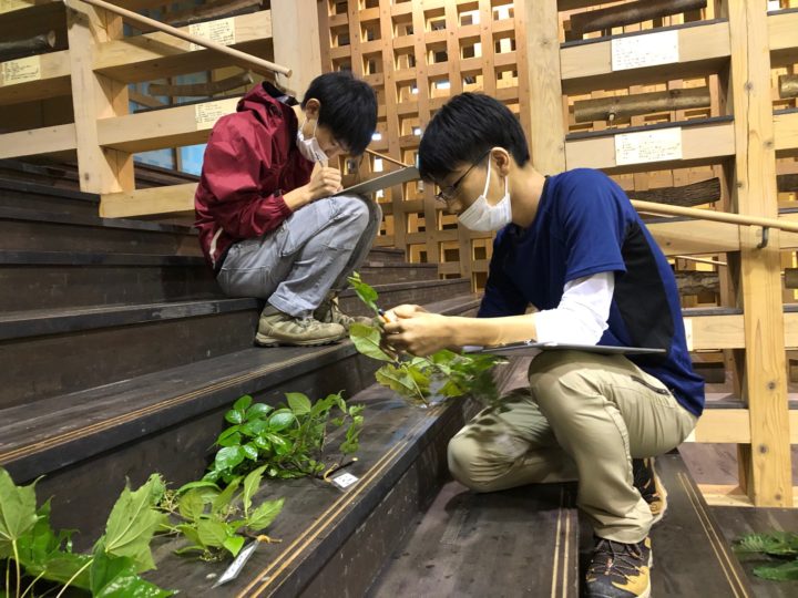 解答する学生たち