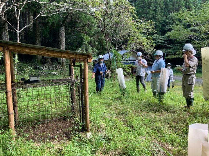 ニホンジカ捕獲モデル事業地での現地研修