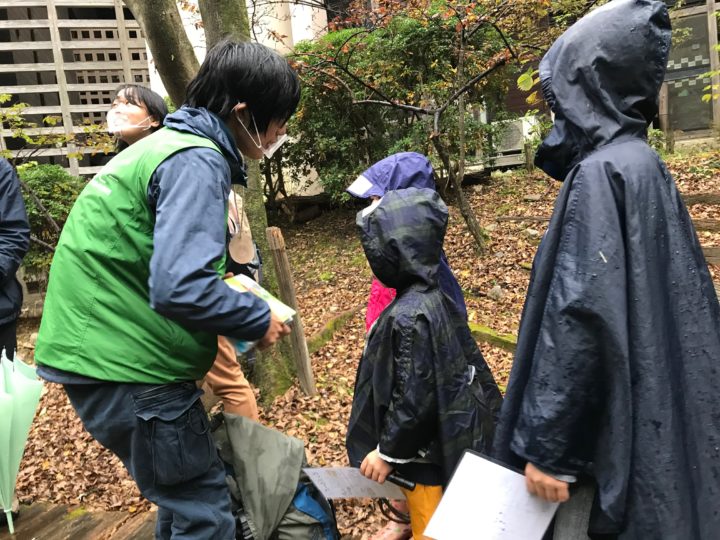 野鳥観察