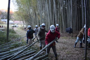 伐った竹を整理する学生