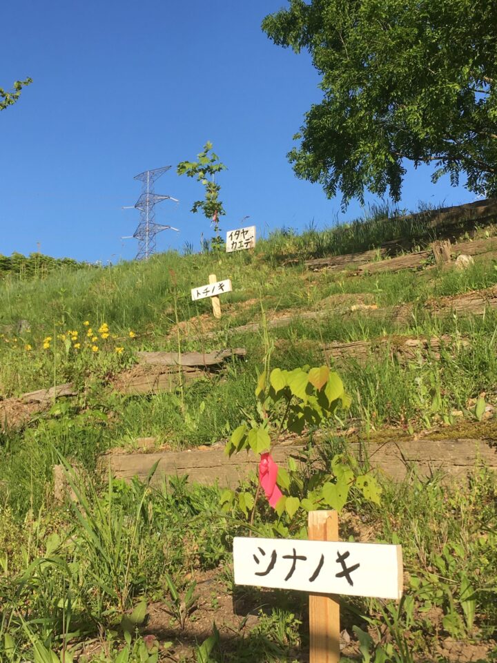 学内に植栽した樹木に看板を立てた