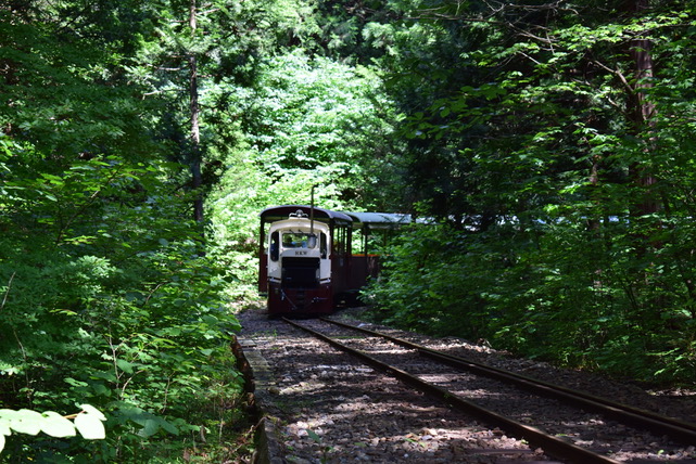 林を走る森林鉄道