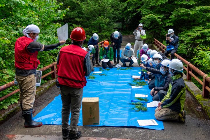 木曽五木を知る