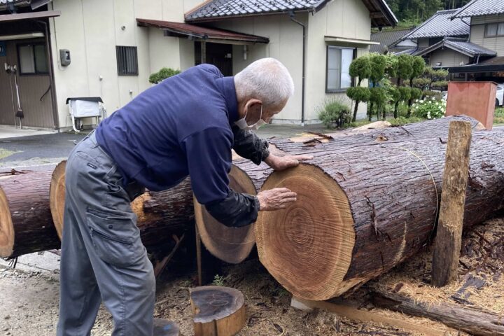 丸太の見極め