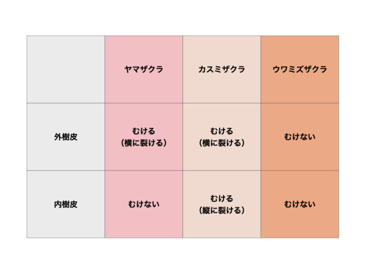 むける・むけない