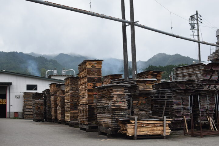 広葉樹の土場