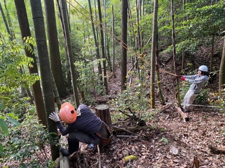 竹プロジェクト 岐阜県立森林文化アカデミー