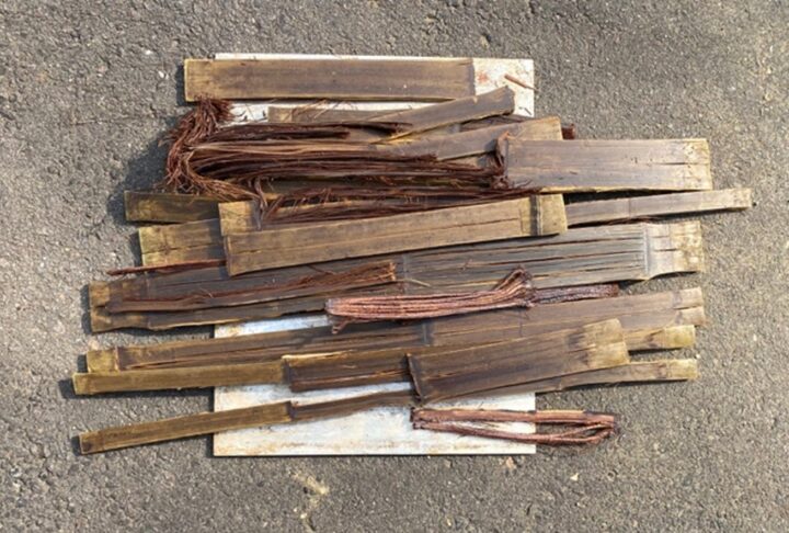 竹プロジェクト 岐阜県立森林文化アカデミー