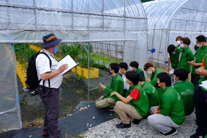 閉鎖型採種園の見学