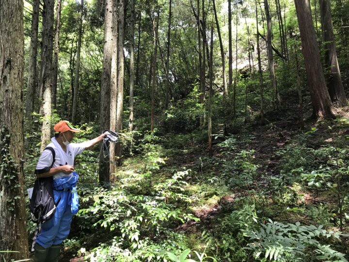 現場での野生動物の痕跡探し