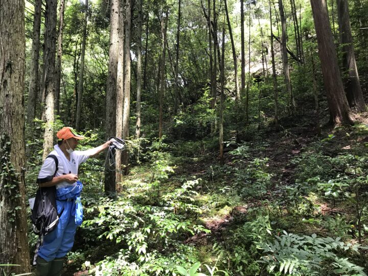 現場での野生動物の痕跡探し