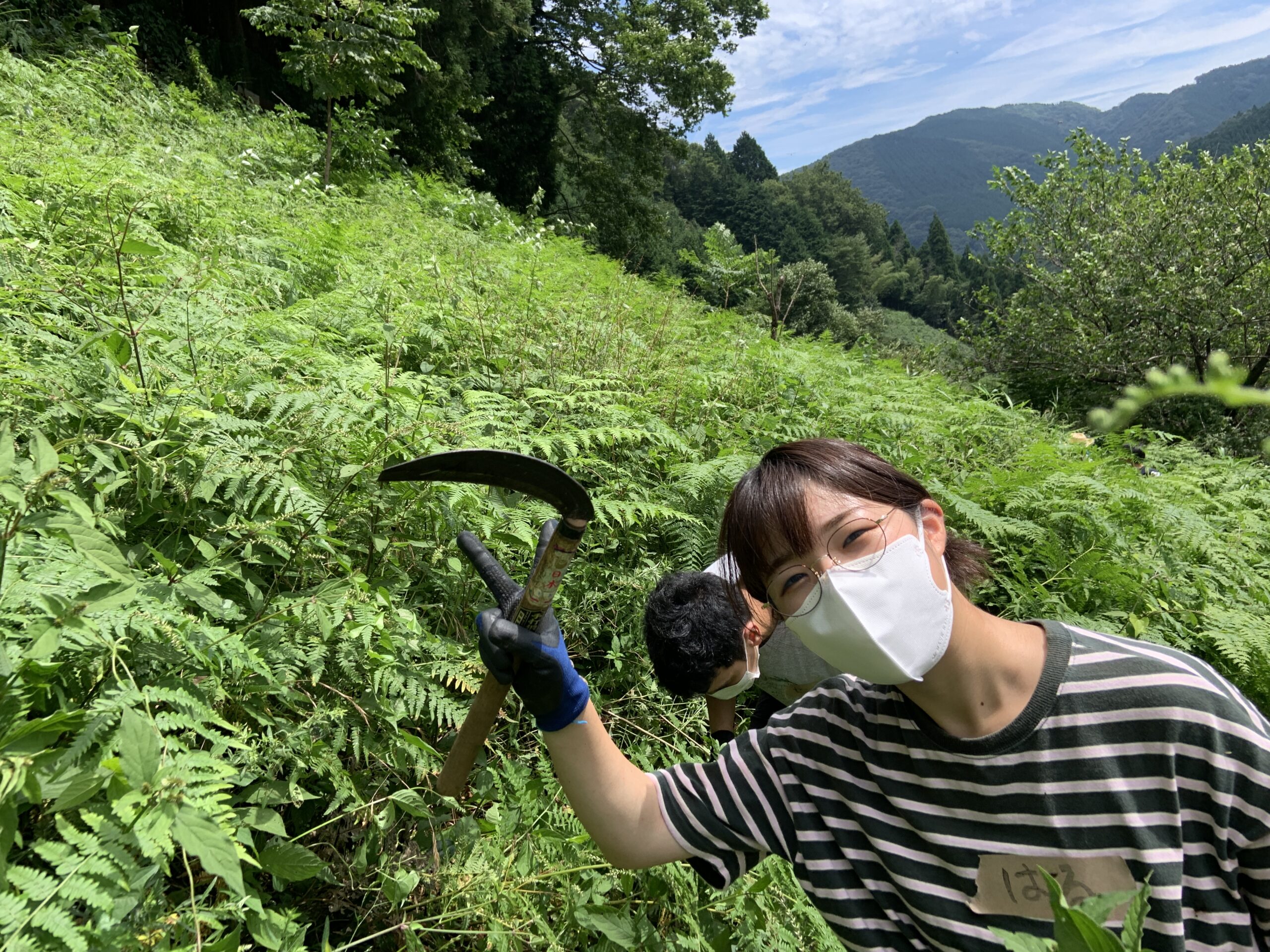薬草の文化に触れる 山村資源利用演習 第２回目 岐阜県立森林文化アカデミー
