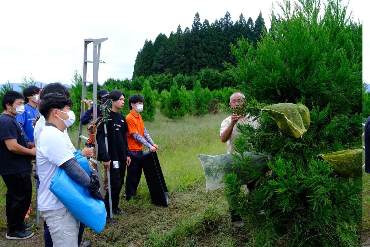 白鳥林木育種事業地の見学