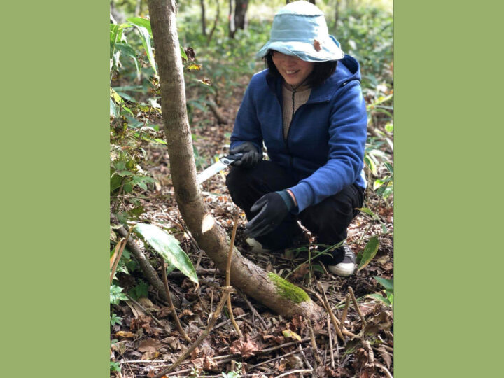 草刈万里子さん