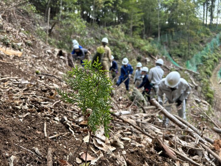 森づくりの基礎を学ぶ