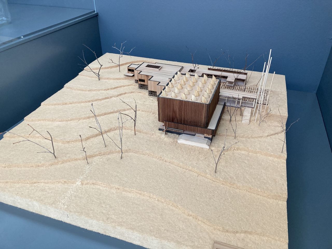 369603559_10227970960151703_15