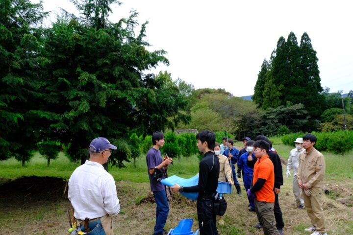 ヒノキの採種木，樹高4m程度に仕立てられている