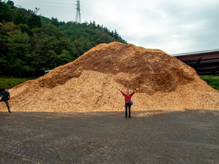 乾燥中のチップの山