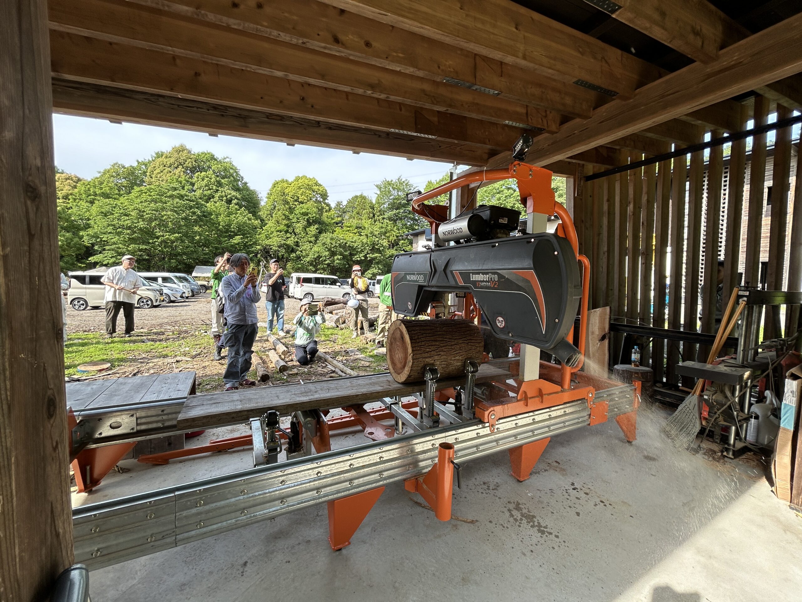 完売　　合体樹＊超絶ワイルドな森の切り株テーブル】3本の木々が一体化した希少部位 完売 合体樹＊超絶ワイルドな森の切り株テーブル】3本の木々が一体化