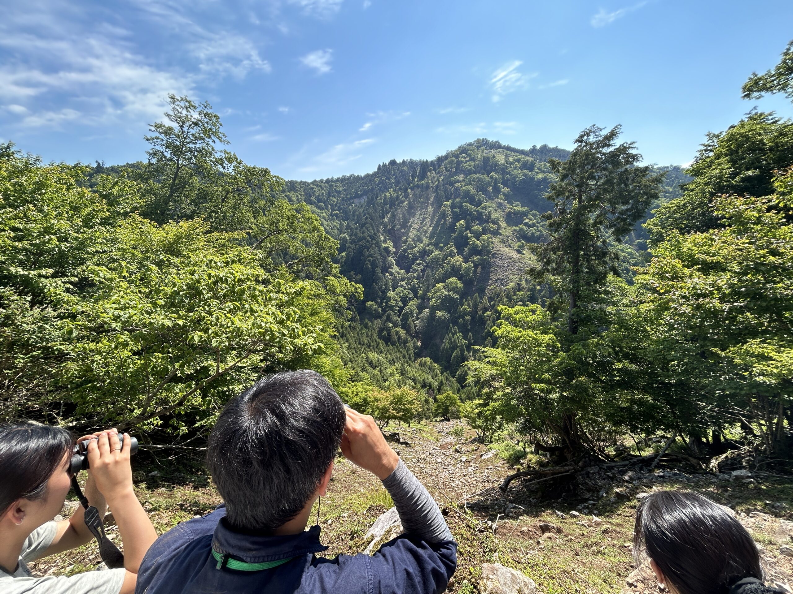 ニホンジカの影響を知る：Cr「森林獣害の基礎」 : 岐阜県立森林文化
