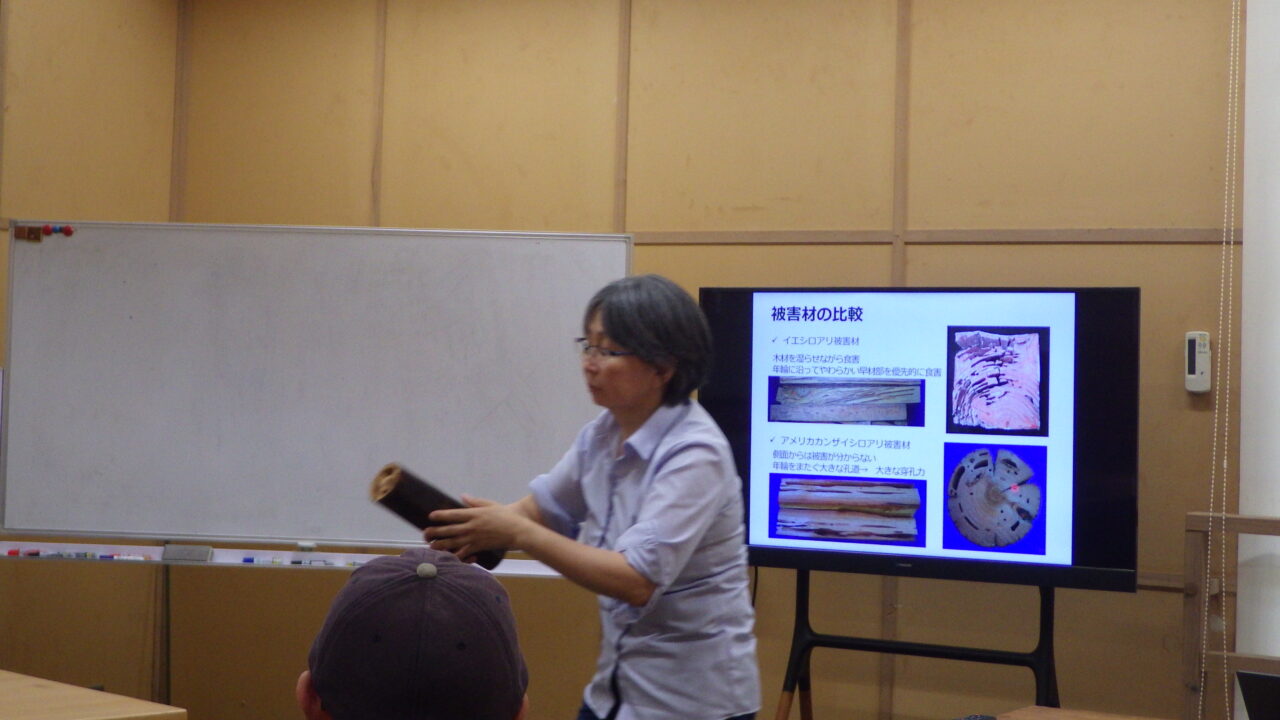 研修の様子