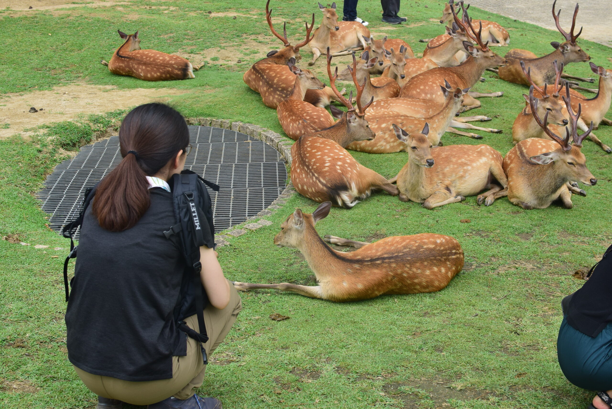 観察かんさつ：クリエーター科「森林獣害の基礎」 : 岐阜県立森林文化